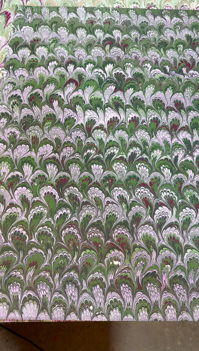 #170