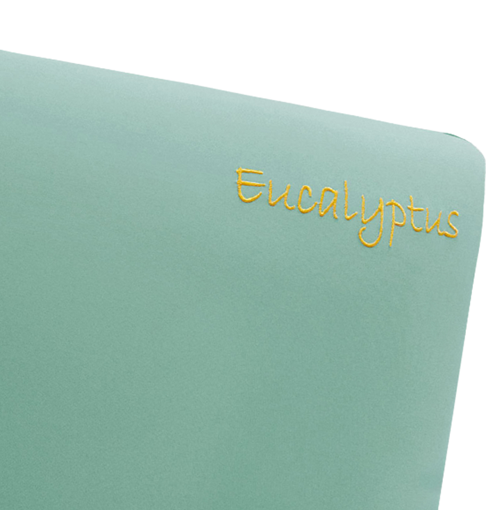 Aroma Eucalyptus Infused Memory Foam Pillow