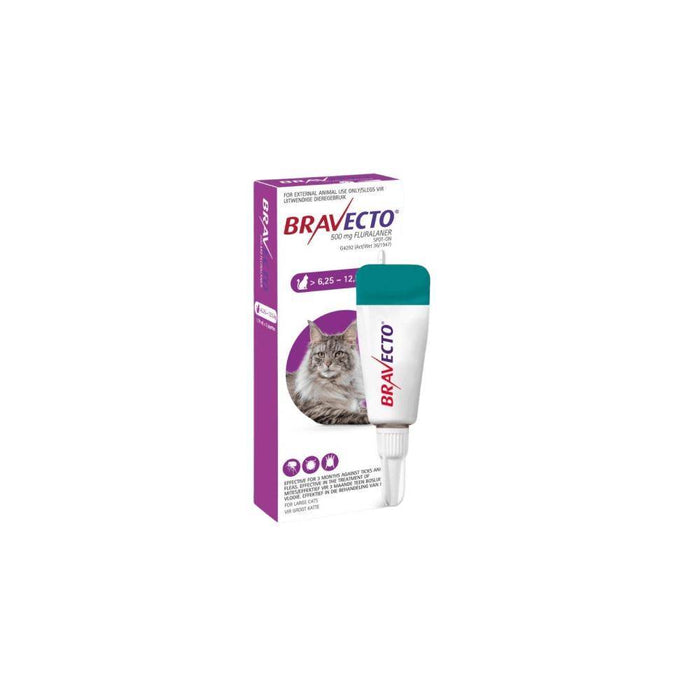 Bravecto Spot On Large Cat 6kg to 12.5kg Purple - Petworld