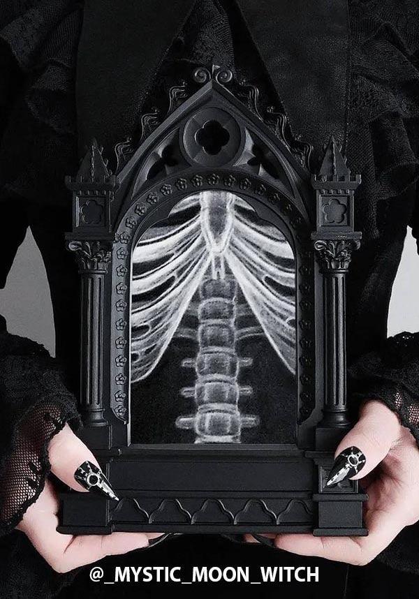ALCHEMY GOTHIC Cathedric | PICTURE FRAME - Back