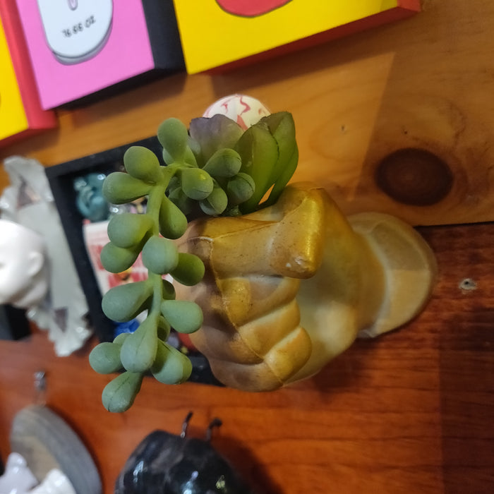Ceramic Hand w/ eyeball plant (coming out of your wall!) Hanging
