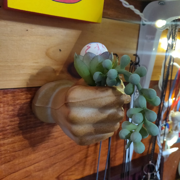 Ceramic Hand w/ eyeball plant (coming out of your wall!) Hanging