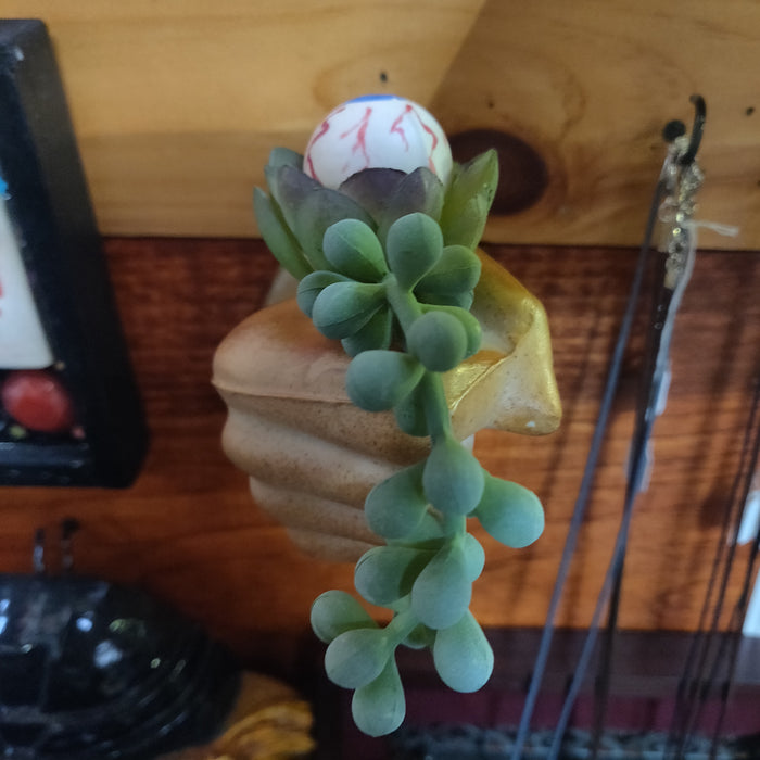 Ceramic Hand w/ eyeball plant (coming out of your wall!) Hanging