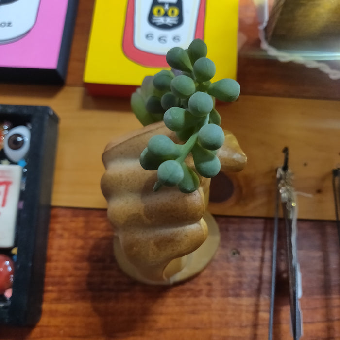 Ceramic Hand w/ eyeball plant (coming out of your wall!) Hanging