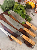 Everyday Pairing Knife
