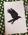 Hitchcock (with hand painted bird cover) ZiNE by Sara Century