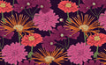 Lavender Flowers | Wallpaper