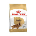 Royal Canin Breed Health Nutrition Cocker Spaniel Adult Dry Dog Food 12kg - Petworld