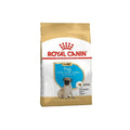 Royal Canin Breed Health Nutrition Pug Puppy Dry Dog Food 1,5kg - Petworld