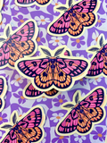Sheep Moth STiCKER