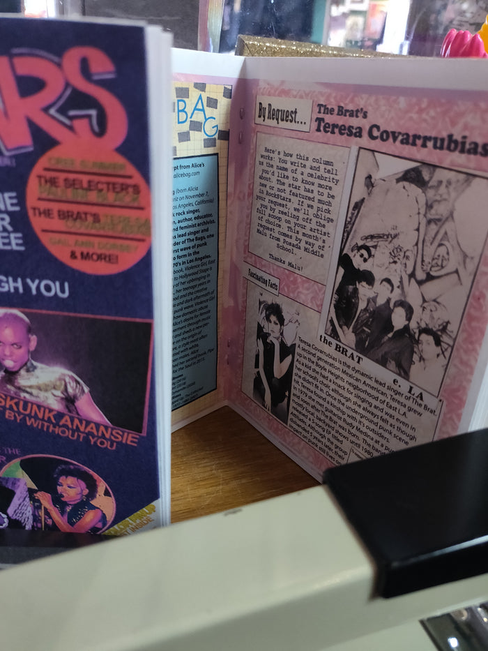 * Taped Off TV Rock Stars ZiNE : DIY Edition