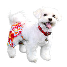 TASMANIA DOG SWIM TRUNKS, Swim Shop - Bones Bizzness